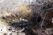 creek_nearly_dry