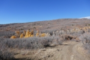 down_to_the_creek