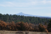 lone_cone