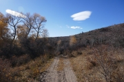 lots_of_tracks