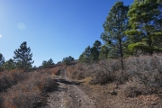 uphill