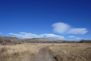 wide_open