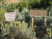 national_forest_signs