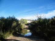 puddle