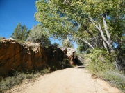 rock_and_trees