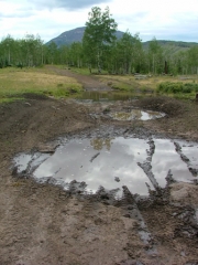 big_mud_puddle