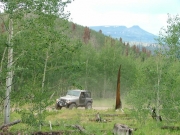 bill_on_the_trail