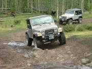 bill_through_a_mud_puddle_part_1
