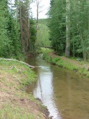clear_creek_water