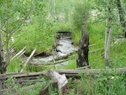 creek_view