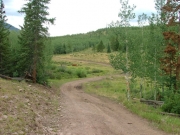 curvy_trail
