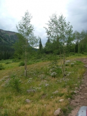 different_terrain