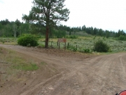 trailhead