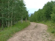 wider_trail