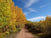 aspens_part_1