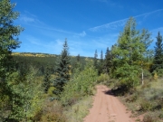 aspens_part_2