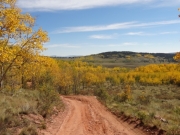 aspens_part_7