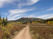 mellow_trail