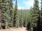 mountain_view