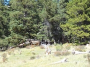 old_cabin_1