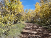 rocky_trail