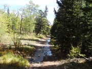 trout_creek_on_the_trail