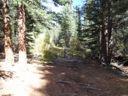 western_end