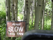sign_to_slow_down