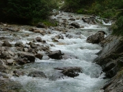 crystal_river_part_1