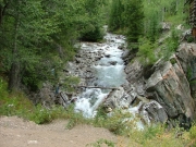 crystal_river_viewed_from_the_road