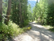 mellow_trail