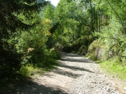 wide_trail