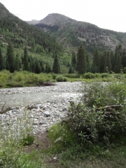 next_to_the_creek