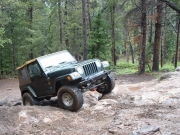 bob_on_some_rocks_part_1