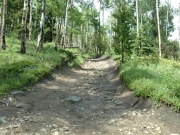 trail