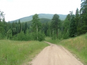 meadow