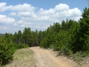 big_view