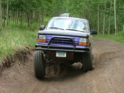 perry_flexing_part_2