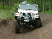 roger_flexing_part_2