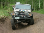 walt_flexing_part_2