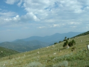 view_from_the_top