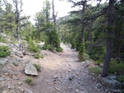 down_washoe_gulch