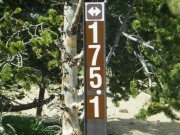 forest_service_sign