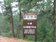 no_shooting