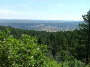 big_view