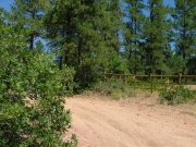 fence_along_the_trail
