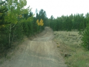 aspens_part_5