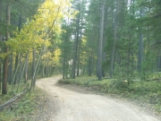 aspens_part_7