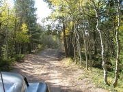 colorful_trail