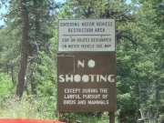 no_shooting